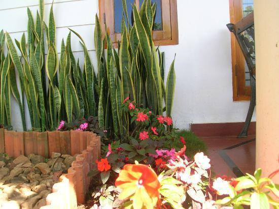 Hotel Munnar Dreams Exterior foto